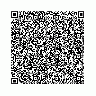 vCard 79519797184