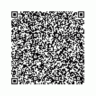 vCard 79519797203
