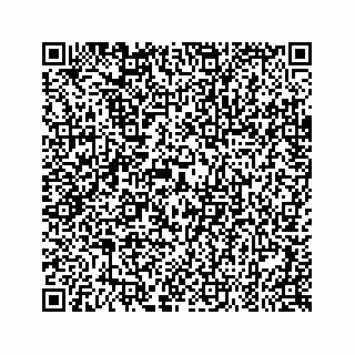 vCard 79519797209