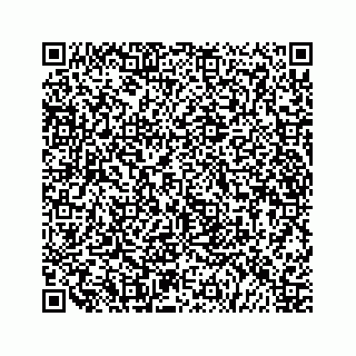 vCard 79519797233