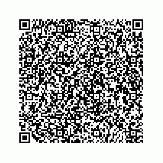 vCard 79519797248