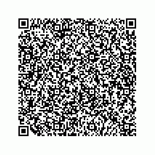 vCard 79519797311