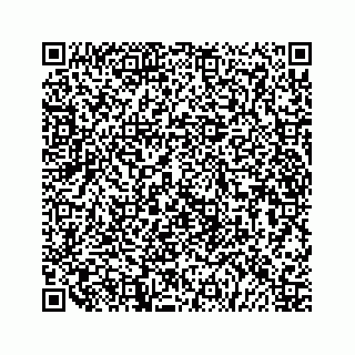 vCard 79519797329