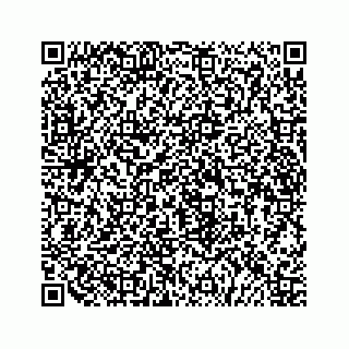 vCard 79519797376