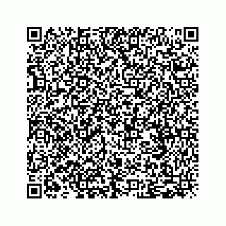 vCard 79519797378