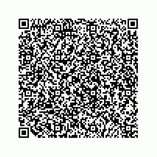 vCard 79519797381
