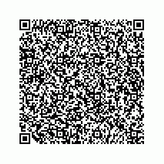 vCard 79519797382