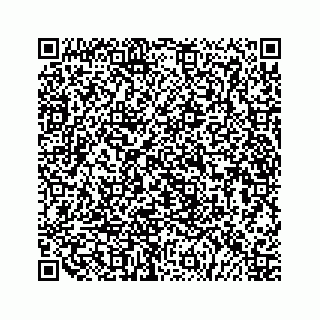 vCard 79519797389