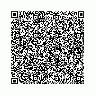 vCard 79519812874