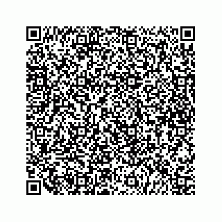 vCard 79519818131