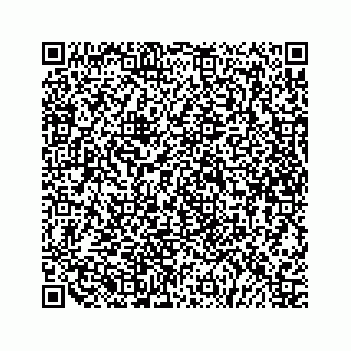 vCard 79519818385