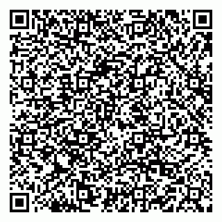 vCard 79519820177