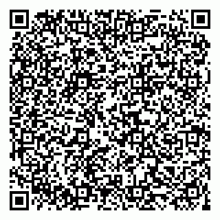 vCard 79519820509