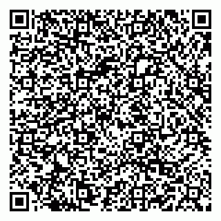 vCard 79519828033