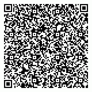 vCard 79519828038