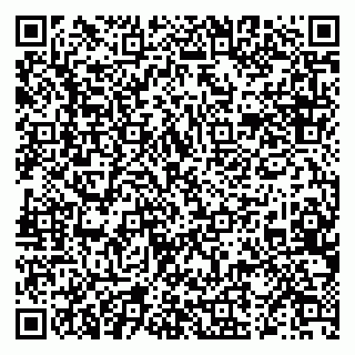vCard 79519830132