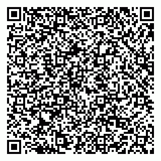 vCard 79519830133