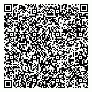 vCard 79519830177
