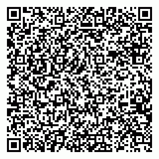 vCard 79519838207