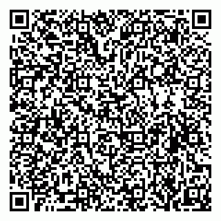 vCard 79519838285