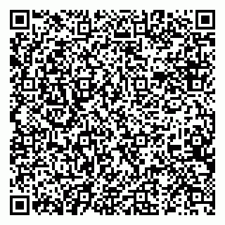 vCard 79519838399