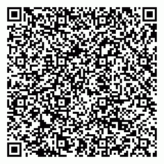 vCard 79519842730