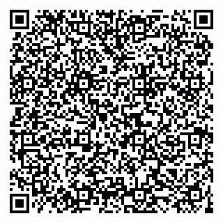 vCard 79519843521