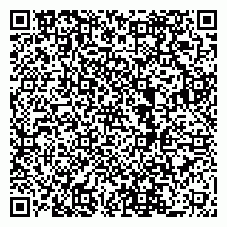 vCard 79519843531