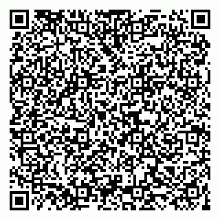 vCard 79519860101