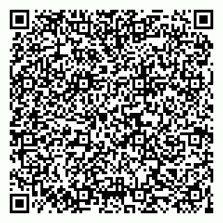 vCard 79519860131