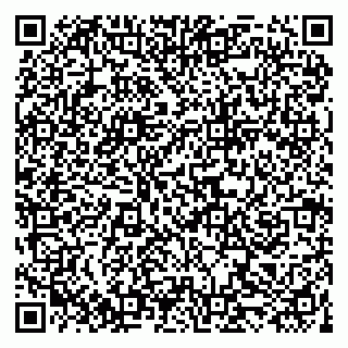 vCard 79519860133
