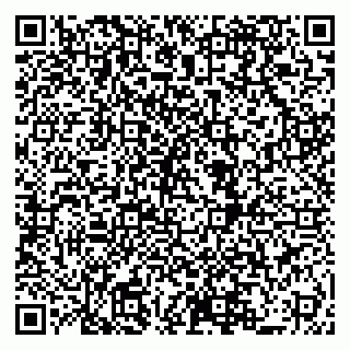 vCard 79519880888