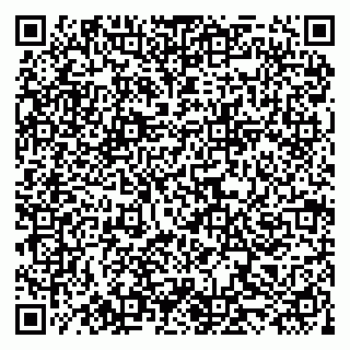 vCard 79519880902