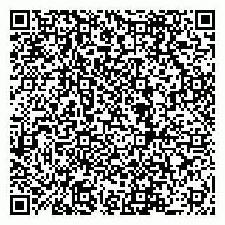 vCard 79519880904