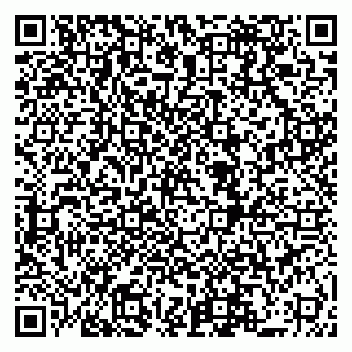 vCard 79519880908