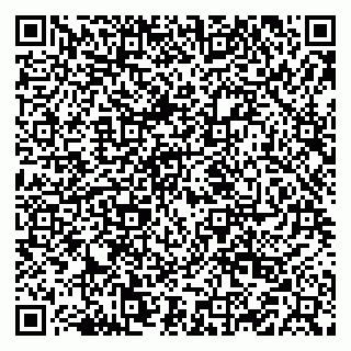 vCard 79519880910