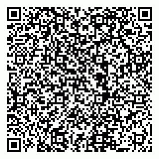vCard 79519880911