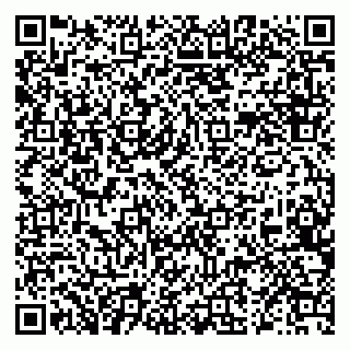 vCard 79519880917