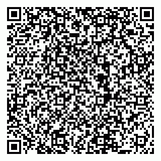 vCard 79519880919
