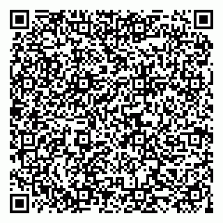 vCard 79519880935