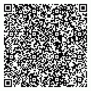 vCard 79519880937