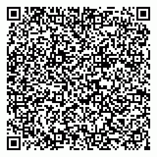 vCard 79519881073