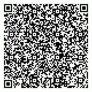 vCard 79519881101