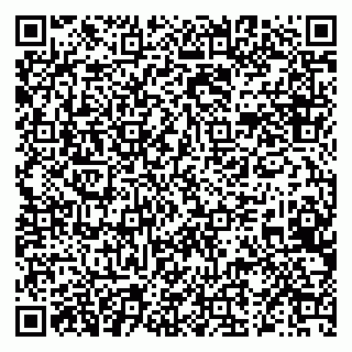 vCard 79519883520
