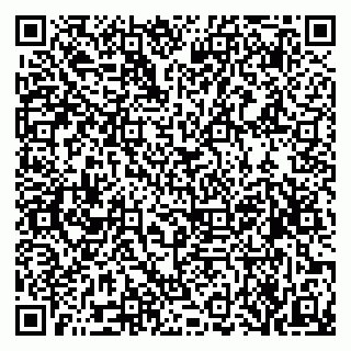 vCard 79519885403