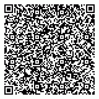 vCard 79519901040