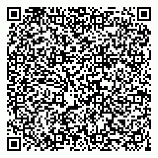 vCard 79519901059