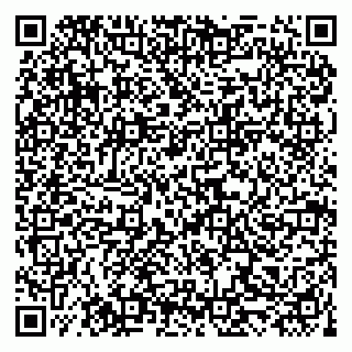 vCard 79519906208