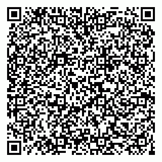 vCard 79519906241