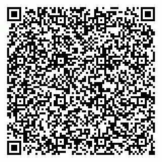 vCard 79519906250